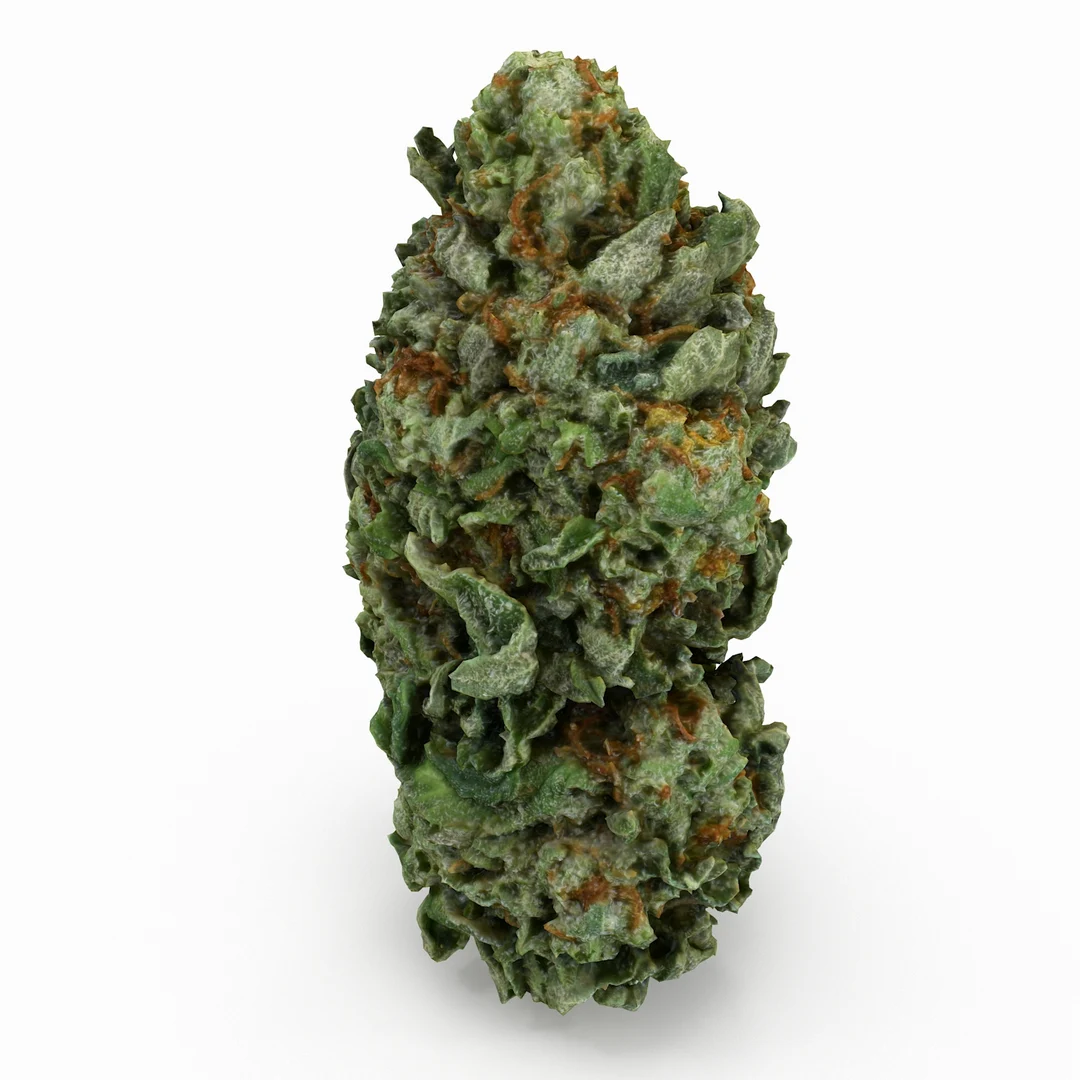 Cannabis flower showing pistils, calyxes, sugar leaves and trichomes